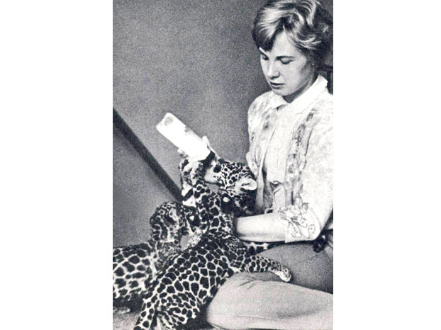 Jan Armstrong with Jaguars