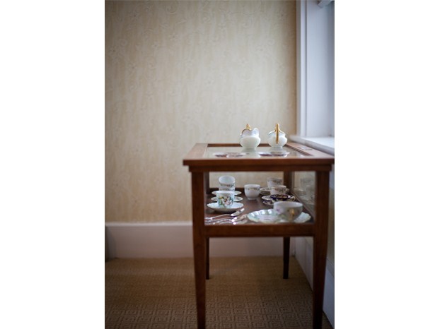 Glass China Case